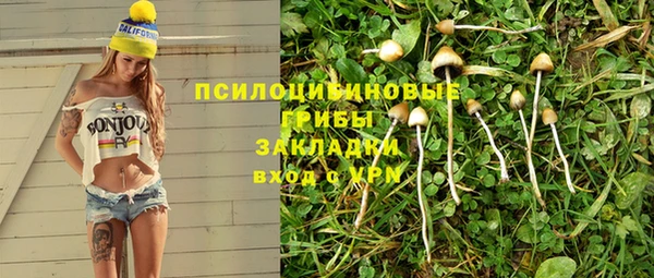 мдпв Верея