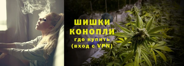 соль ск Верхний Тагил