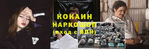 прущие грибы Уссурийск