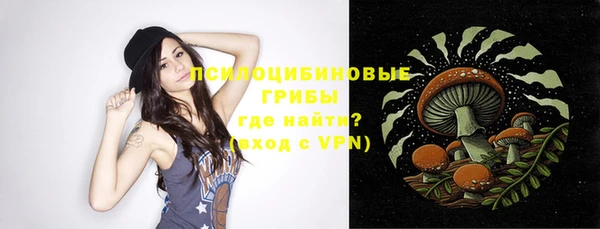 мдпв Верея