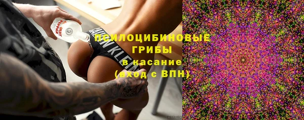 соль ск Верхний Тагил