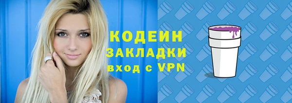 соль ск Верхний Тагил