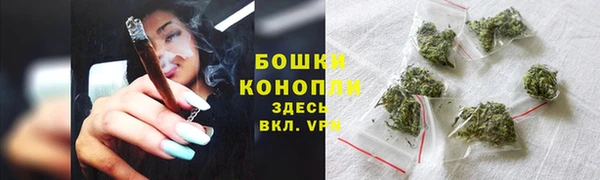 мдпв Верея