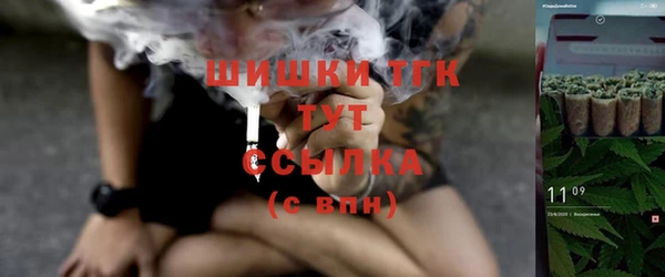 мдпв Верея