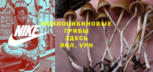соль ск Верхний Тагил