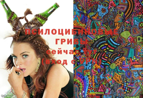 альфа пвп Волгодонск