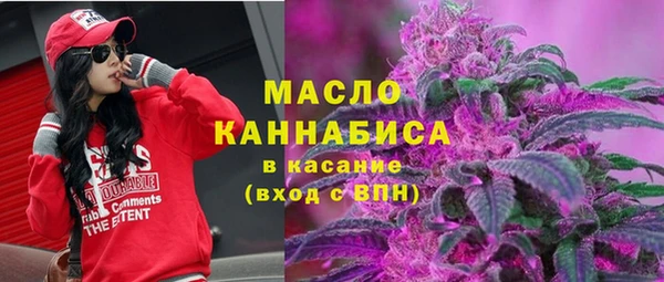 соль ск Верхний Тагил