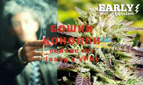 мдпв Верея