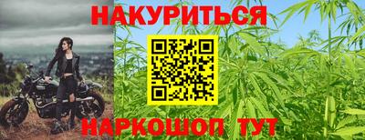 ГАЛЛЮЦИНОГЕННЫЕ ГРИБЫ Камышлов
