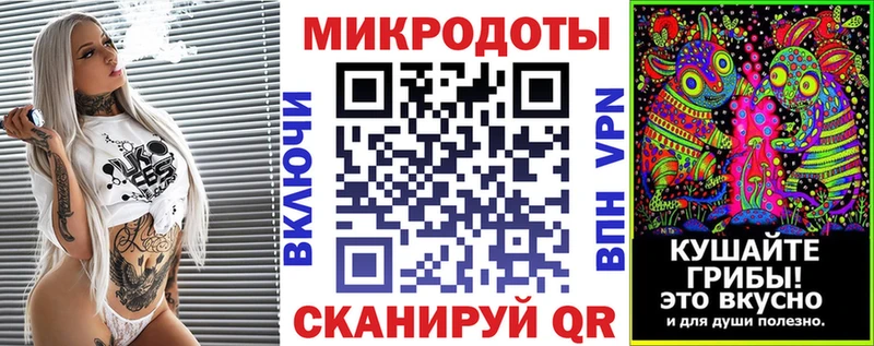 MEGA как войти  Волхов  Псилоцибиновые грибы Cubensis 